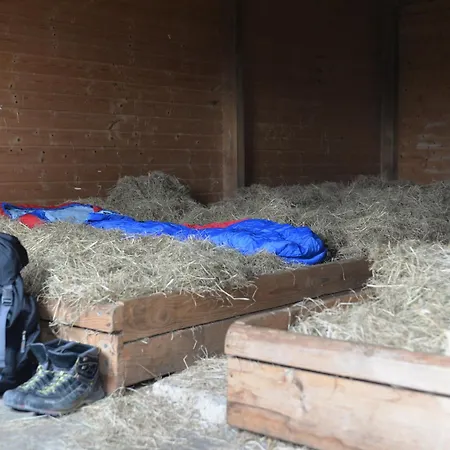 Zur Eiche Apartment Haselunne