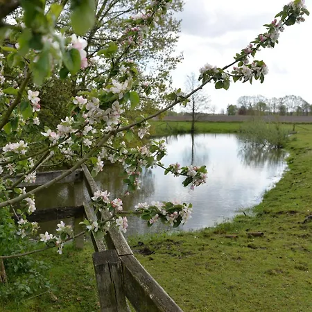 Zur Eiche * Haselunne